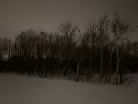 E9F83019-6AA0-44F7-A76C-B1252F6A2014.jpeg