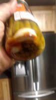 IMG_20220328_055829592.jpg