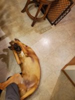 20220331_060727.jpg