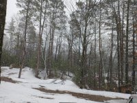 IMG_20220407_150633409.jpg