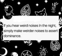 animal-if-hear-weird-noises-night-simply-make-weirder-noises-assert-dominance.jpeg