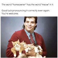 tie-word-homeowner-has-word-meow-good-luck-pronouncing-correctly-ever-again-welcome.jpeg