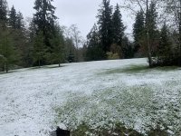 62511FC5-629D-4C05-82D6-10538E9AF6EB.jpeg