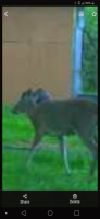 Screenshot_20220504-200631.png