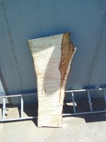 IMG_20220506_135816_792.jpg