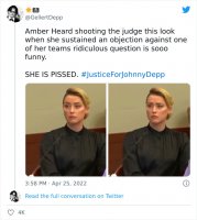 johnny-depp-amber-heard-trial-reactions-6267a48b06d01__700.jpg