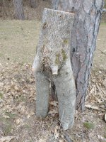 IMG_20220509_162847878.jpg