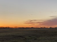 96A88E41-651E-49D6-B22E-D68AAA79EC2A.jpeg