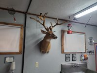 20220508_152930.jpg