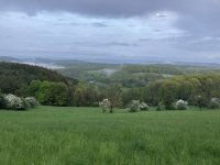 090447D0-A56C-44C1-A747-EE4F10494BF8.jpeg