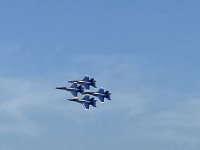 F28D3745-12E7-4773-A28F-970FBED46C26.jpeg