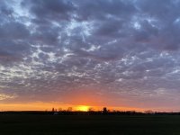4C448F3B-6B74-4454-BE88-B908911A0116.jpeg
