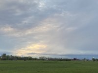 C68B3860-C014-4333-BB37-A85FD3CB1586.jpeg