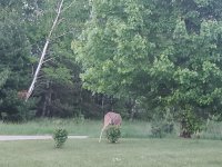 20220602_203929.jpg