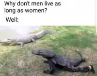 Gator issues.jpg
