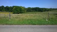 WP_20160920_002.jpg