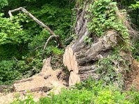IMG_1848.jpg