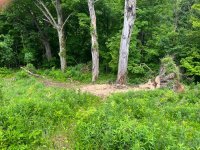 IMG_1849.jpg