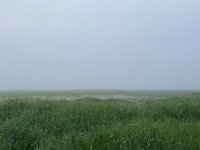 4B8E16AF-18B3-4205-B130-3E1B01A68389.jpeg