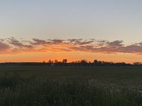 72E23216-6882-4BAC-A6D8-0D94A33E6170.jpeg