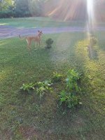 20220616_065149.jpg