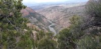 green river.jpg