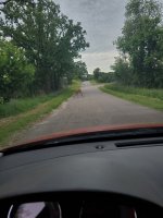 20220630_071746.jpg