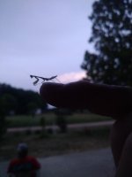 IMG_20220702_205454.jpg