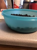 F9B9B1DF-478C-4E4E-83CC-A4306AB16B99.jpeg