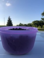 F10368BE-1489-409D-8D63-B4D0952243AE.jpeg