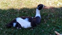 IMG_20220630_145026.jpg