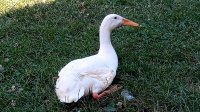 IMG_20220630_145016.jpg