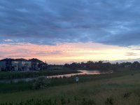 680B35C6-D5B6-4BA1-A358-E6C1EECB33B6.jpeg