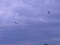 B6F049C5-DE7B-4C0A-A48C-F6372AF798F0.jpeg