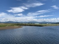 508D1256-5E27-4F96-8244-5581DEA99B8F.jpeg