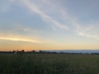 D6C24E17-30BF-4A79-AEB3-FF3E87FF8EC1.jpeg
