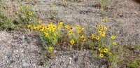 20220707_084739.jpg