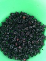 A2C12189-442A-4665-97D4-71F901761C1C.jpeg