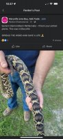 C18A6268-BD53-469B-A5B9-C1278A09020C.jpeg