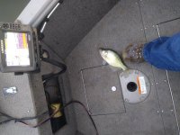 IMG_20211231_081823.jpg