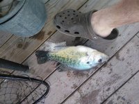 IMG_20180501_134541.jpg