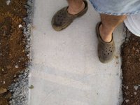 IMG_20211001_080547.jpg