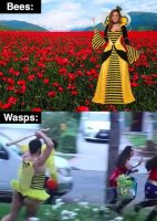 Bees and wasps.jpg