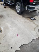 20220715_090553.jpg