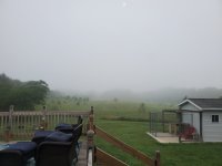 20220716_065703.jpg