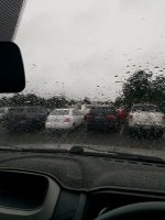 IMG_20220724_101538.jpg