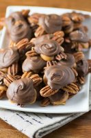 Homemade-Chocolate-Turtles_-1.jpg