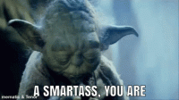 smartass-yoda1.gif