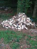 firewood - IMG_20220611_201308.jpg