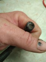IMG_20220806_045852.jpg